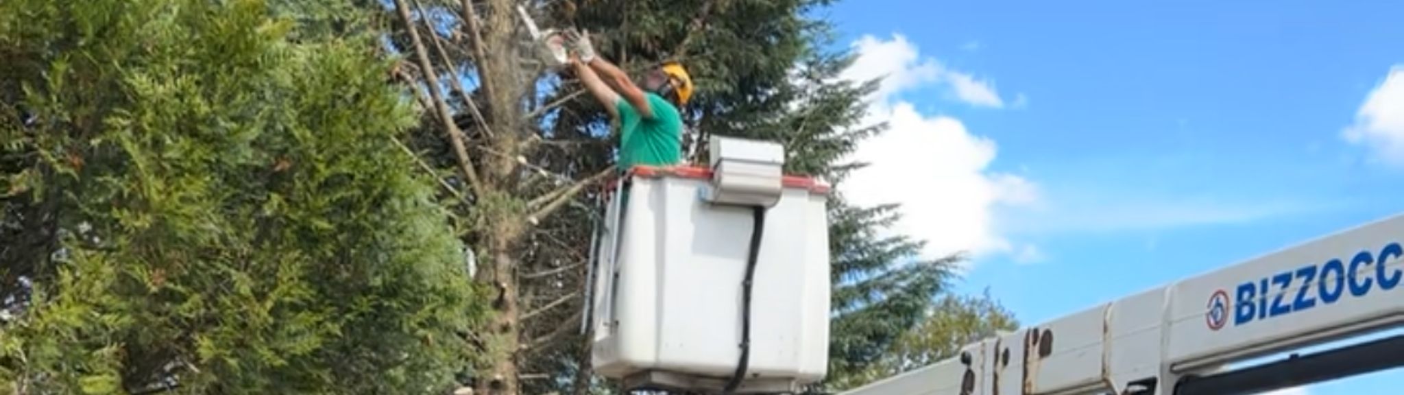 Élagage abattage arbres Ruffec 16700