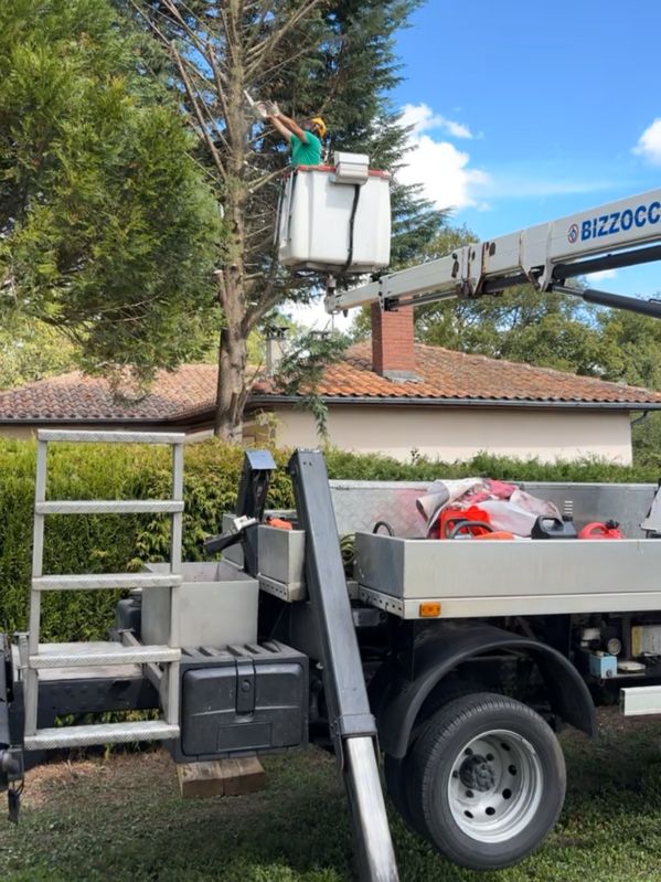 Expert élagage abattage arbres Ruffec