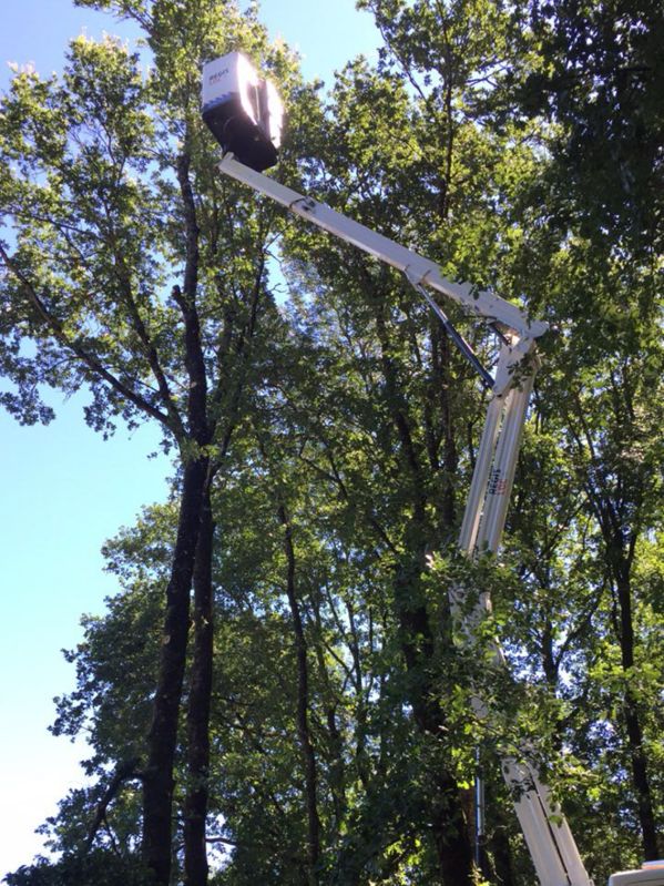 Travaux hauteur nacelle élagage Ruffec